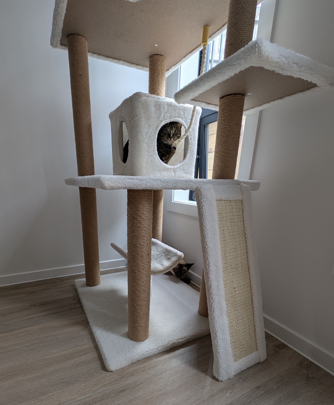 Cat tree with a hideaway box and scratching posts in a bright room