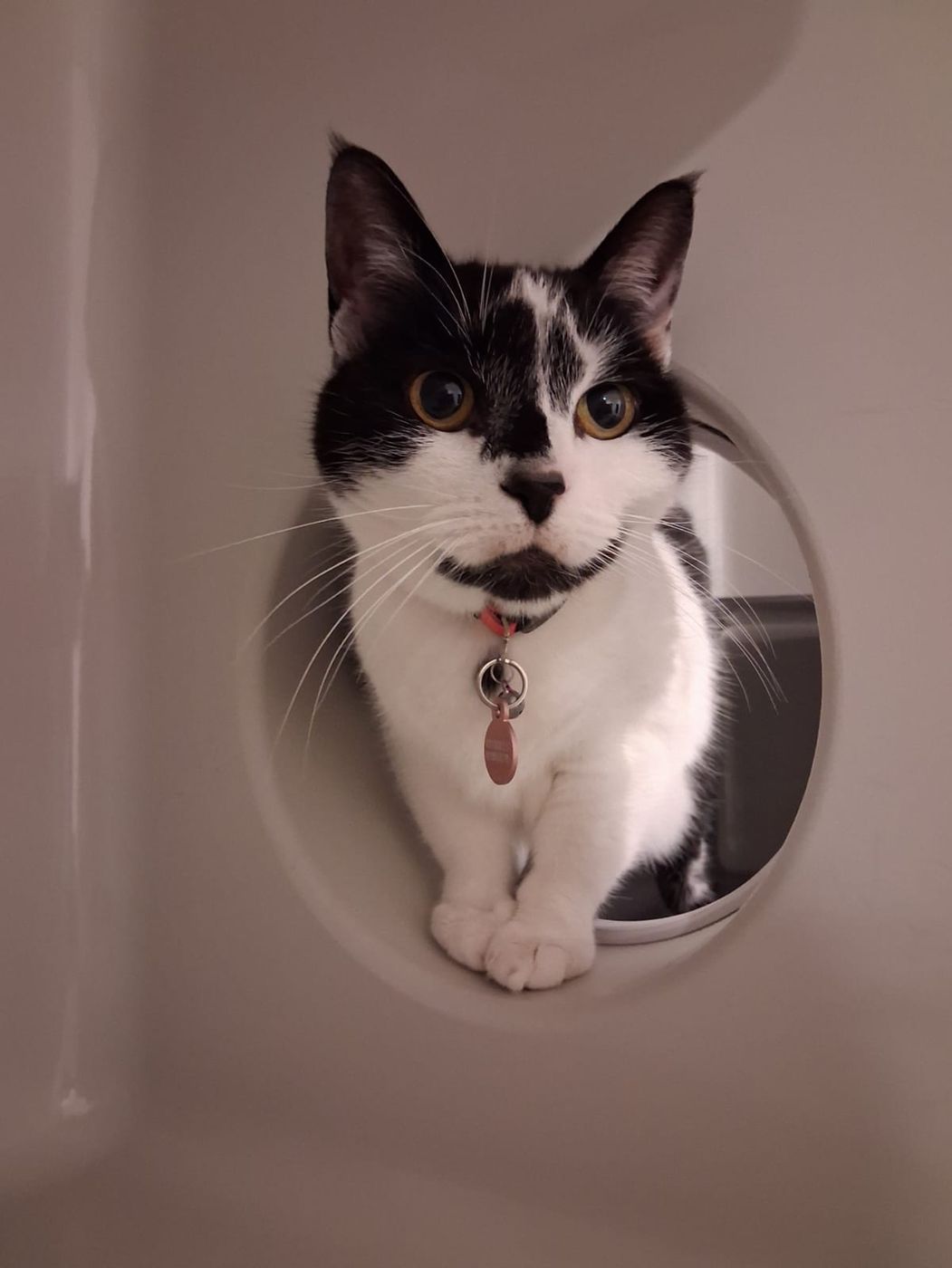 A guest peeking out between two condo rooms