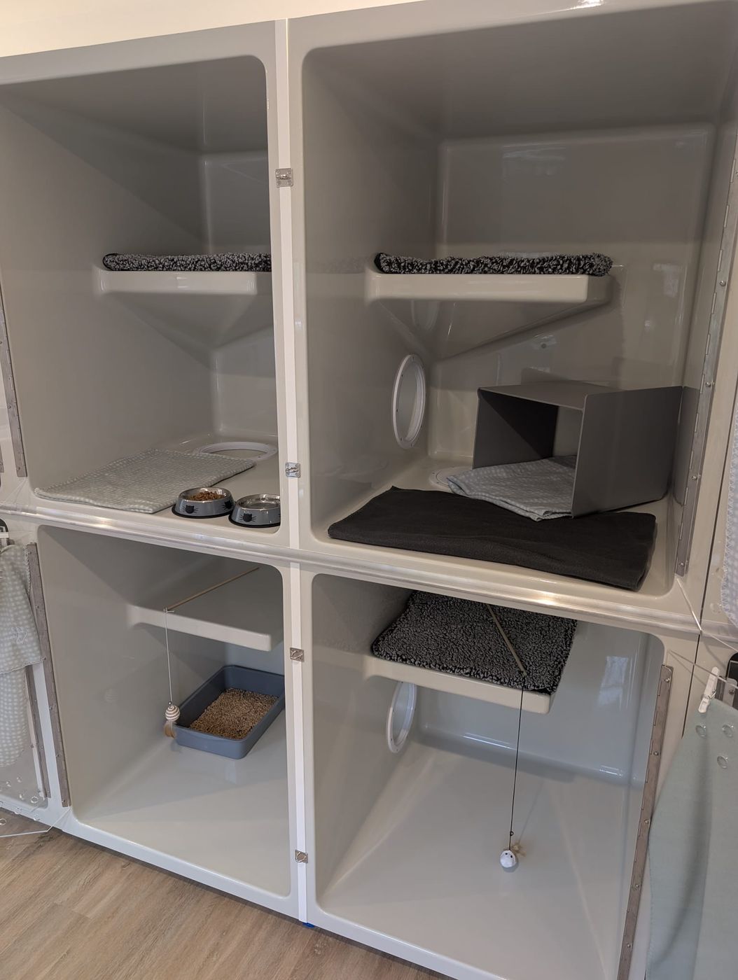 Inside one of our cat condos