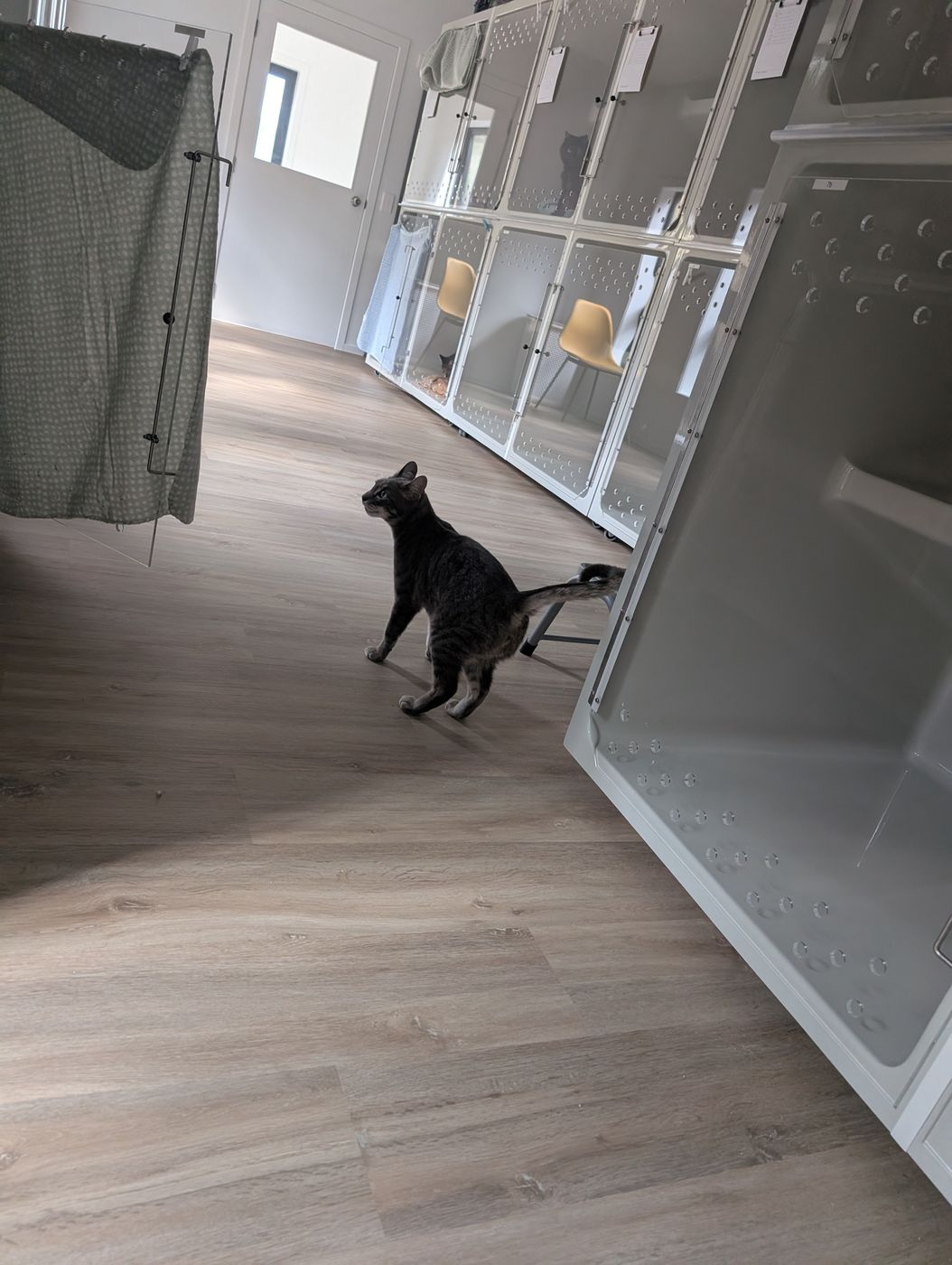 A guest exploring the condo room